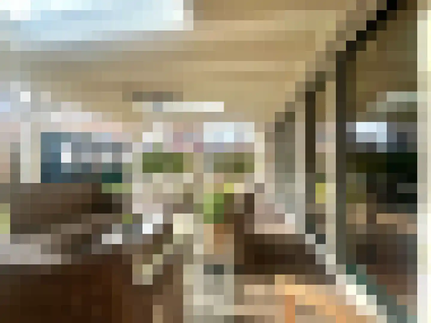 Voorstraat 23 Hedel thumbnail 62