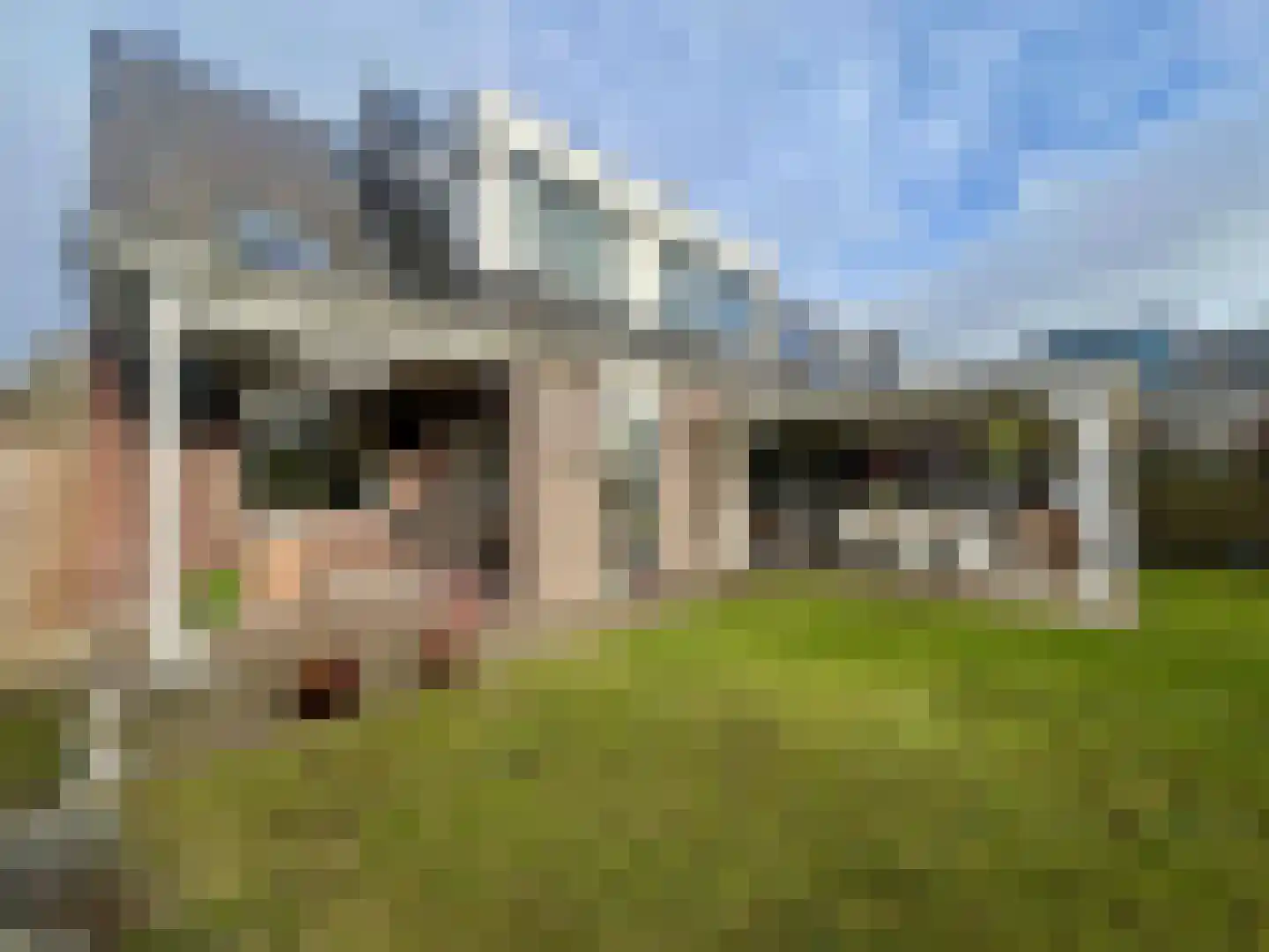 Voorstraat 23 Hedel thumbnail 63