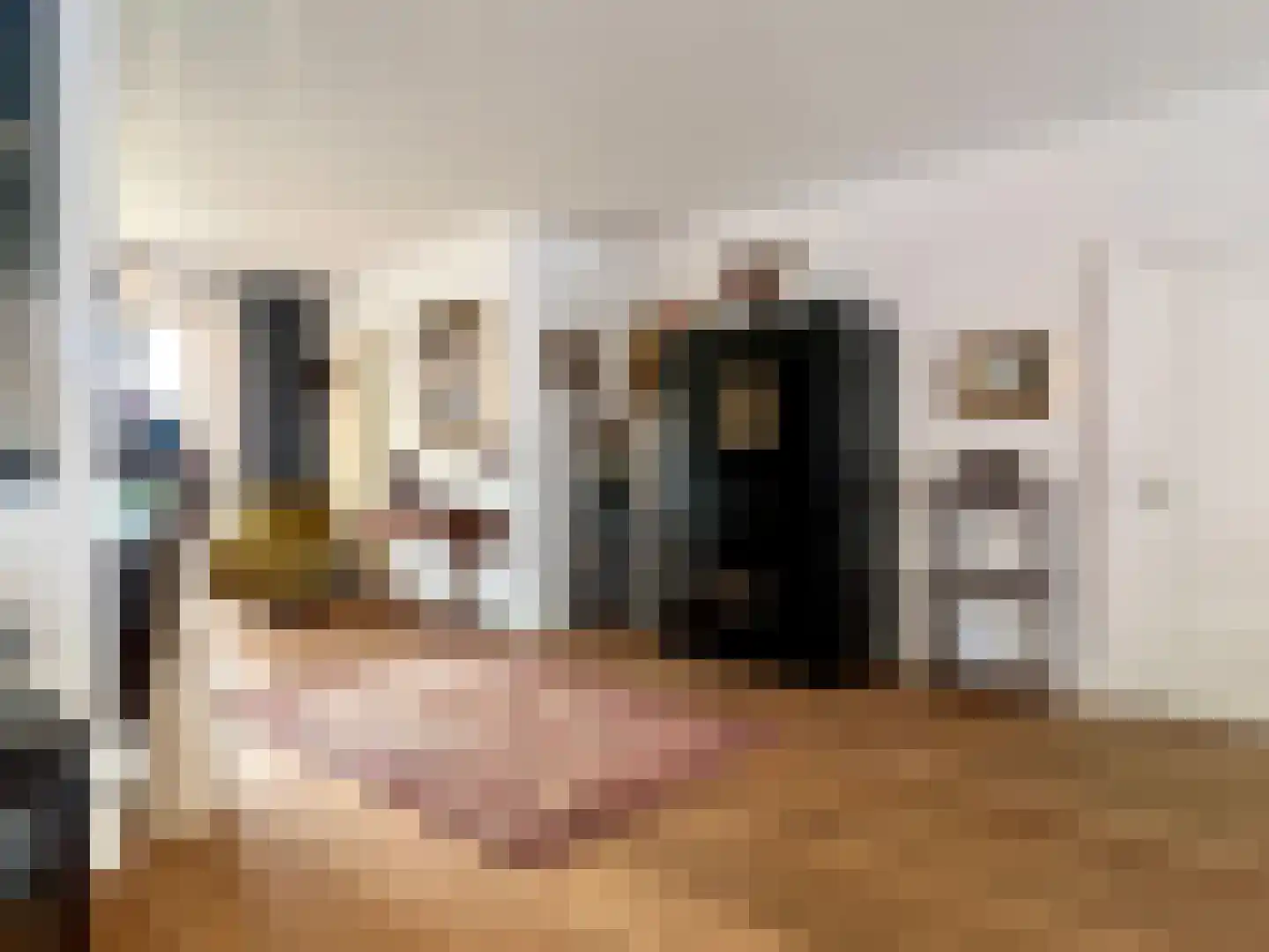 Voorstraat 23 Hedel thumbnail 9