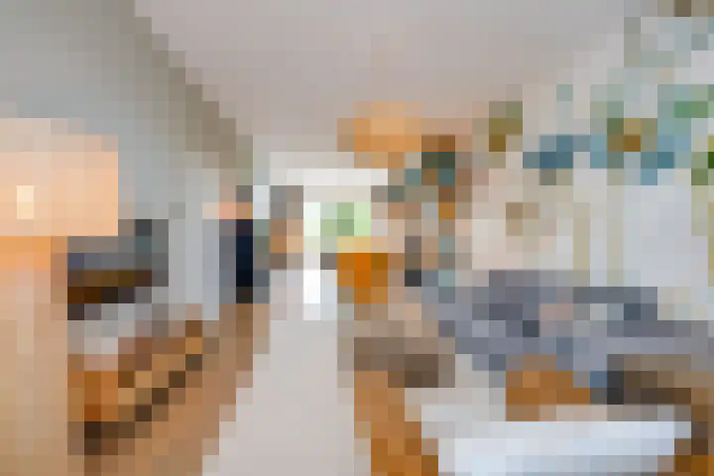 Voorstraat 24 Fijnaart thumbnail 12