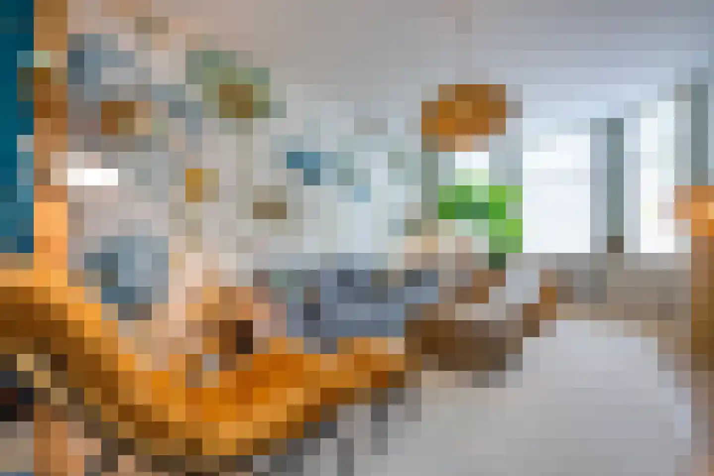 Voorstraat 24 Fijnaart thumbnail 14