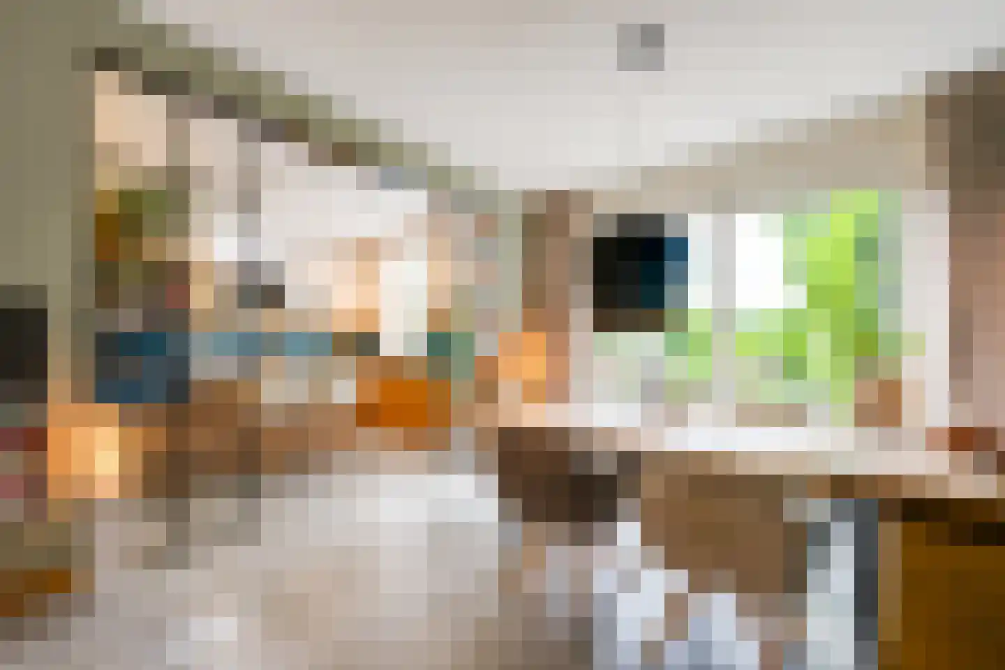 Voorstraat 24 Fijnaart thumbnail 15