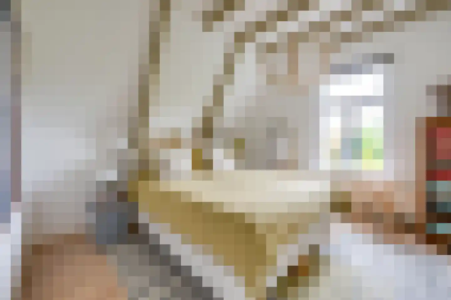 Voorstraat 24 Fijnaart thumbnail 34