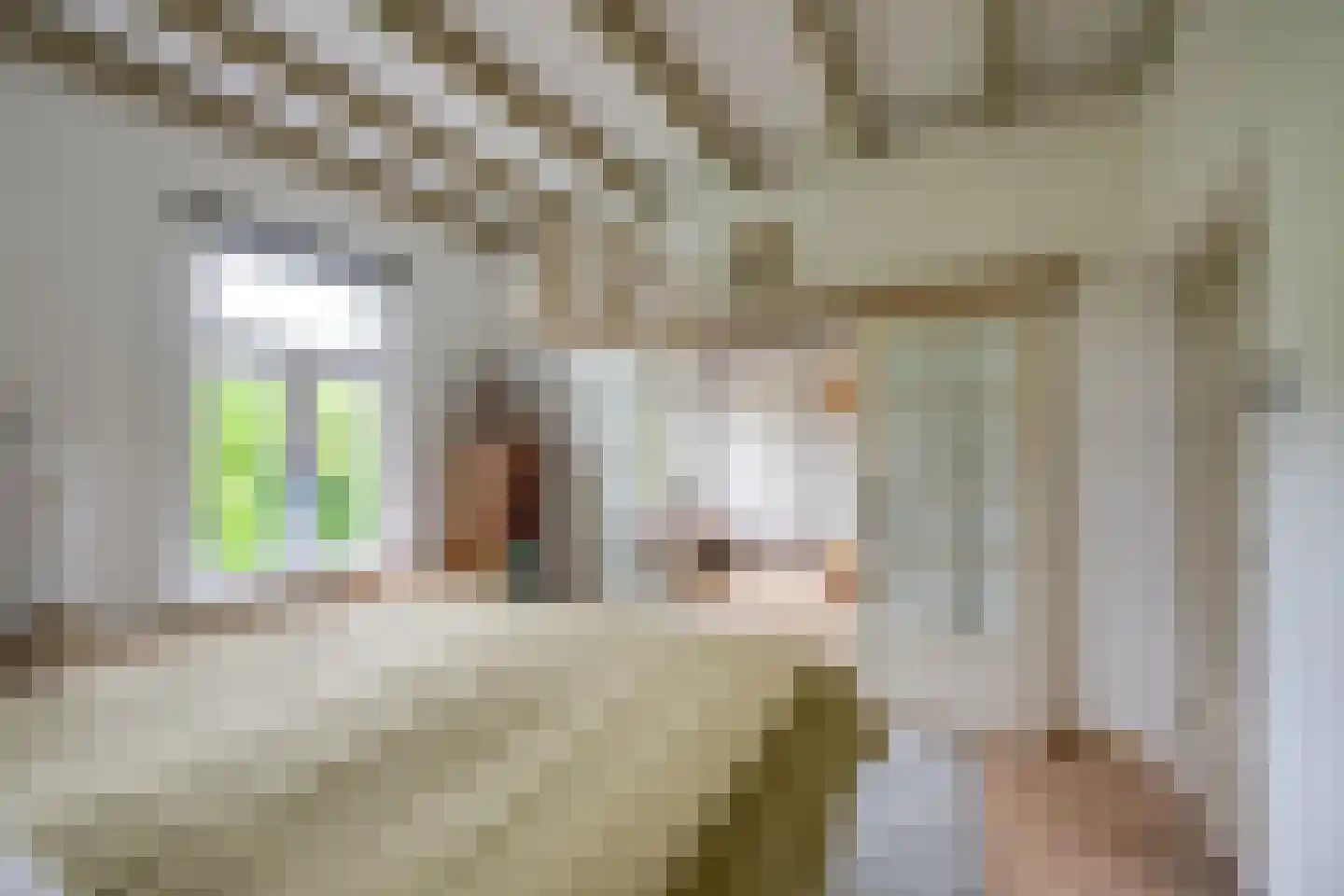 Voorstraat 24 Fijnaart thumbnail 35