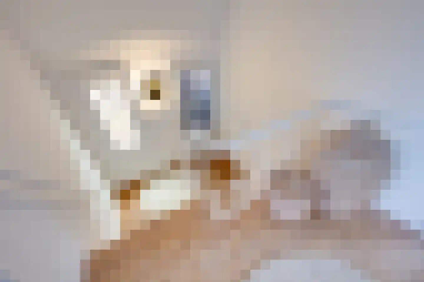 Voorstraat 24 Fijnaart thumbnail 43