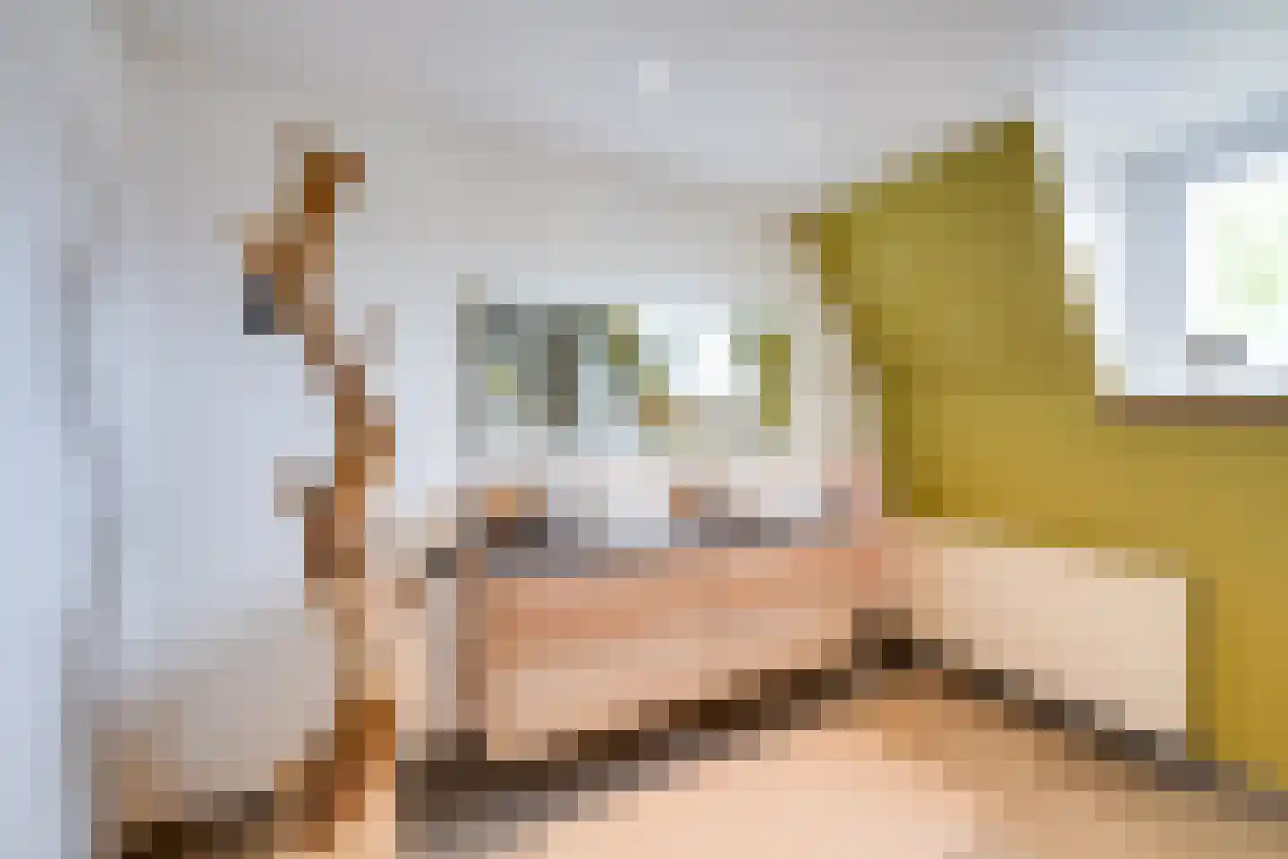 Voorstraat 24 Fijnaart thumbnail 44