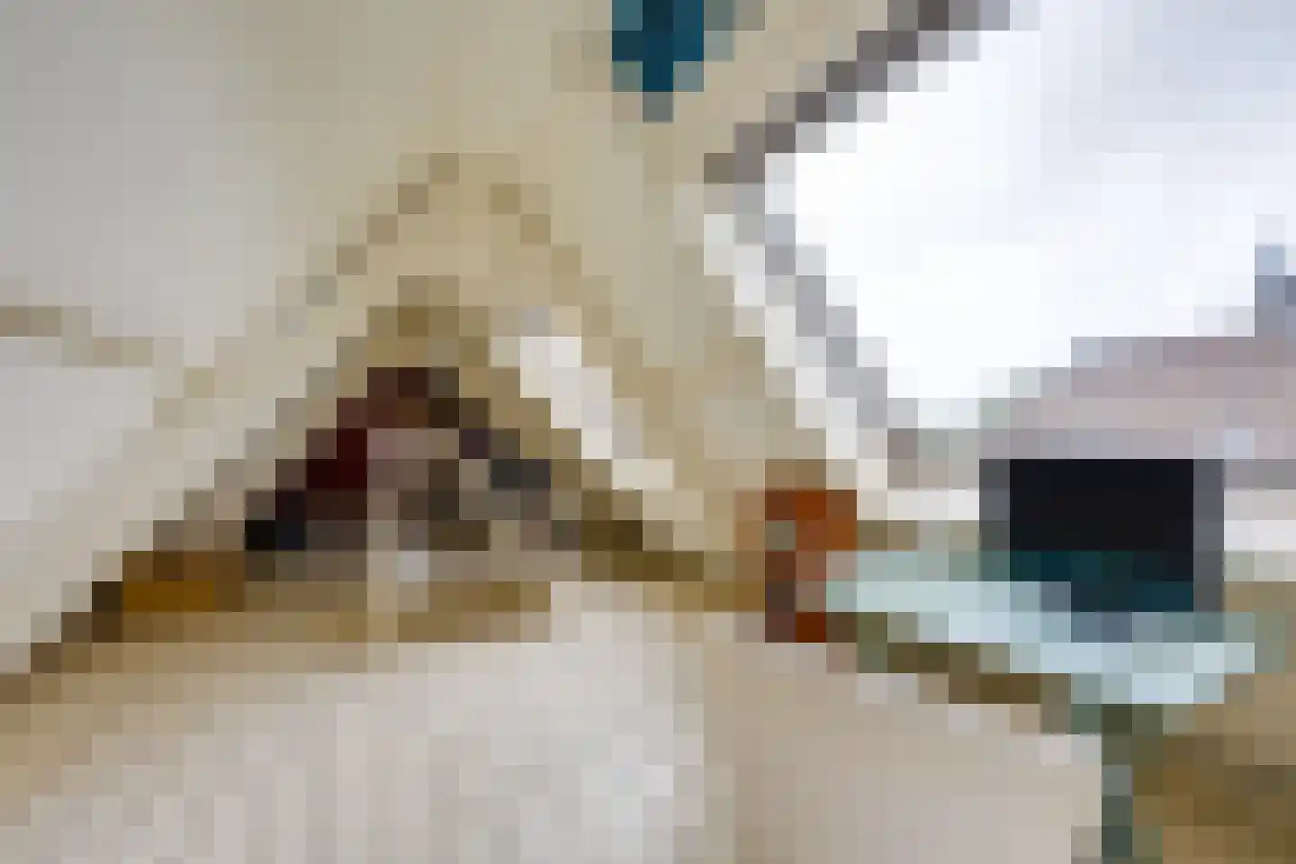Voorstraat 24 Fijnaart thumbnail 51
