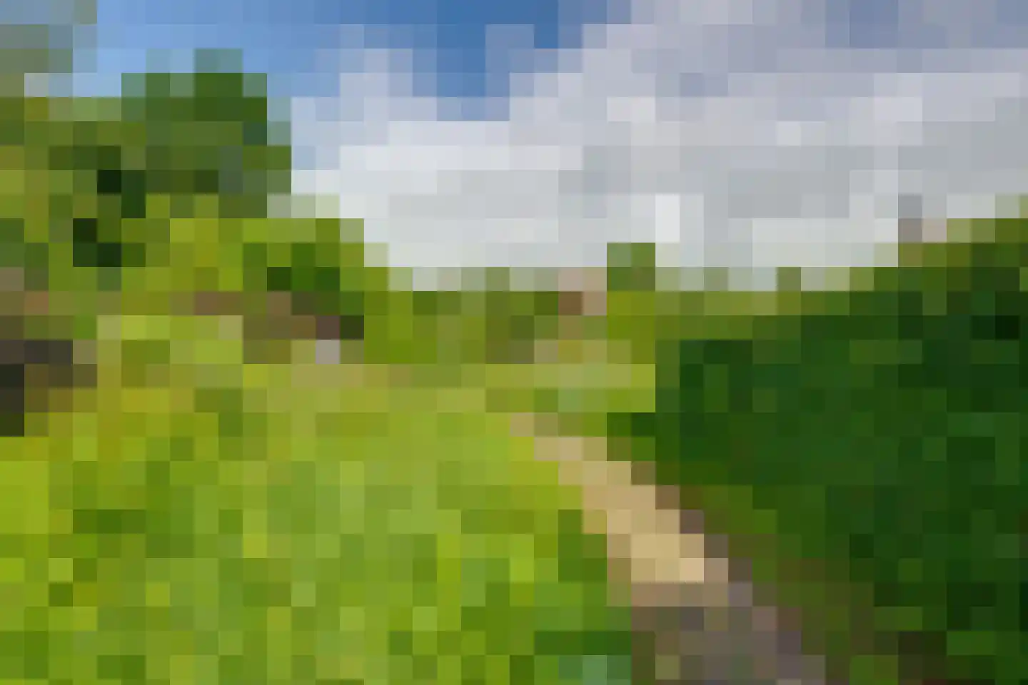 Voorstraat 24 Fijnaart thumbnail 64