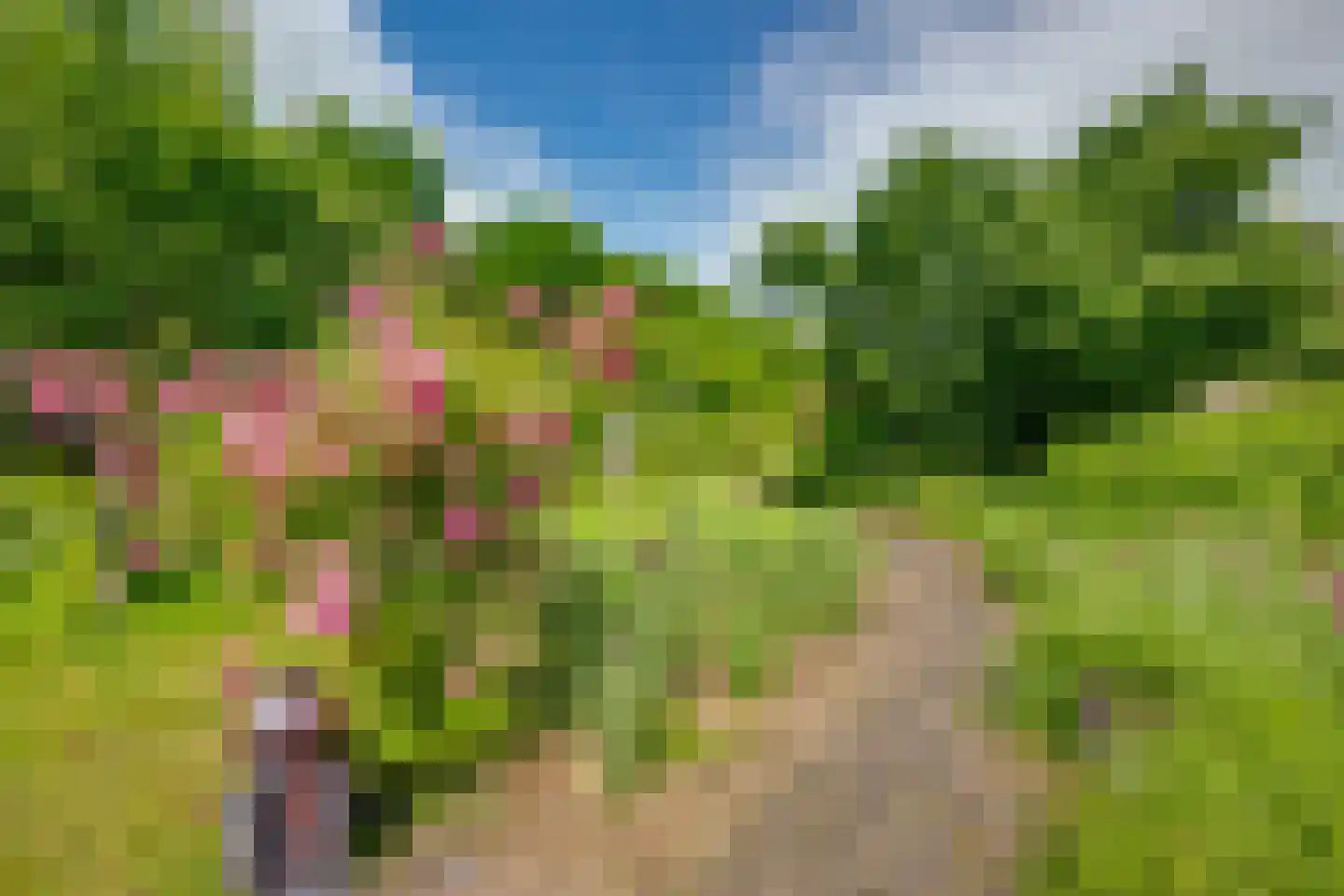 Voorstraat 24 Fijnaart thumbnail 66