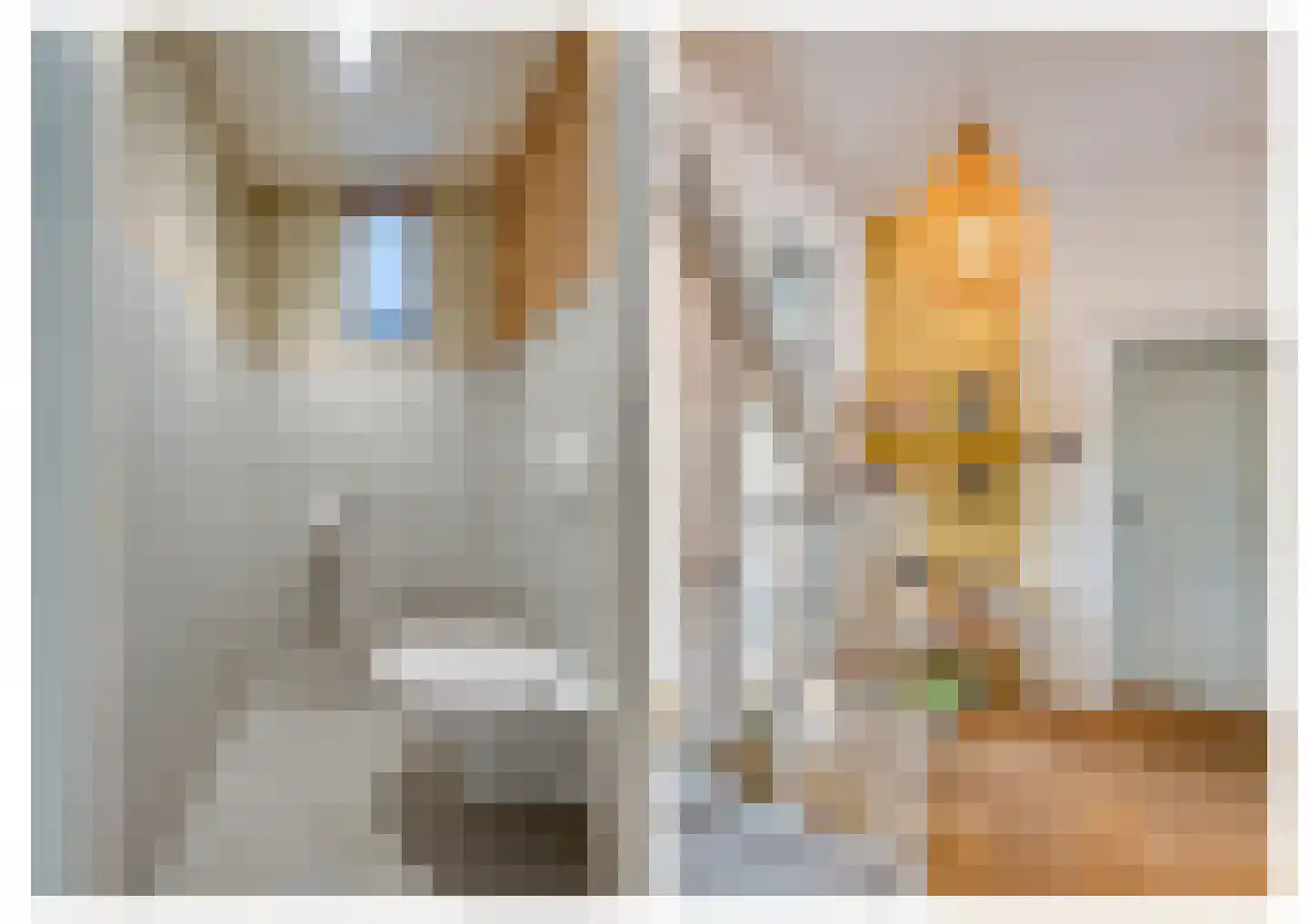 Voorstraat 24 Fijnaart thumbnail 7