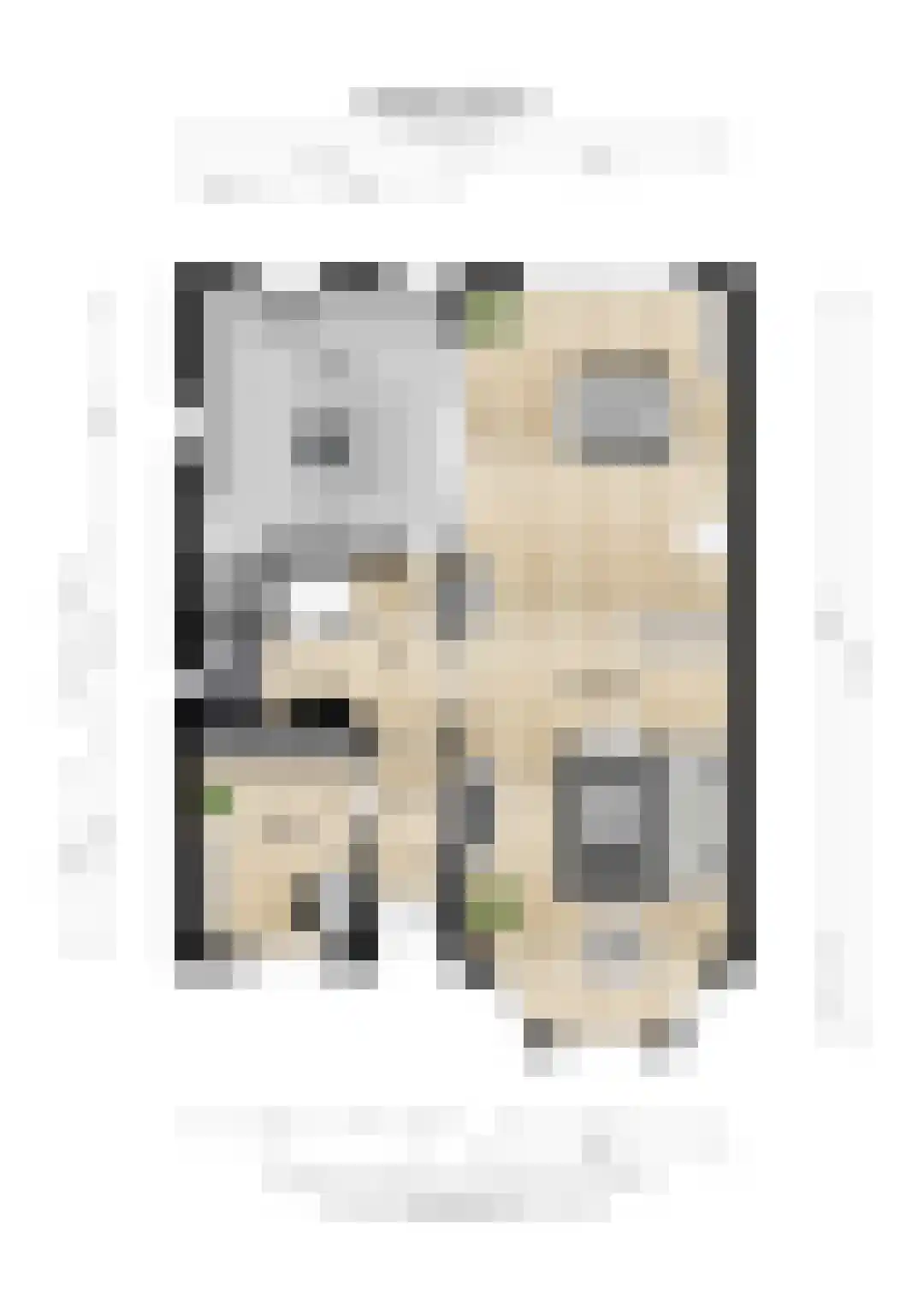 Voorstraat 24 Fijnaart thumbnail 71