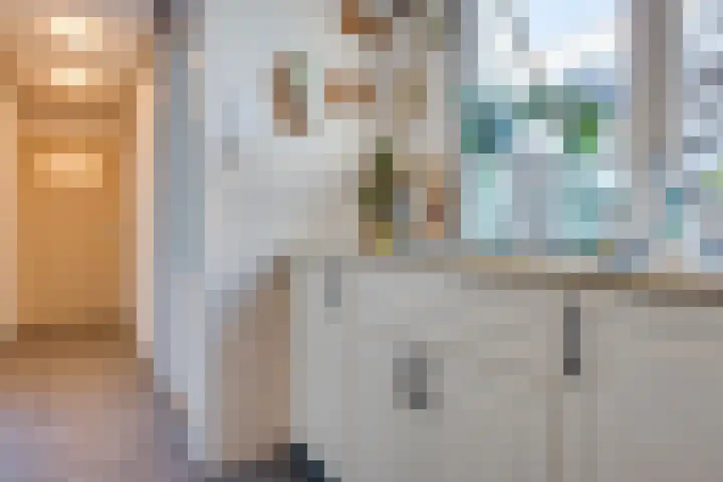 Voorstraat 24 Ooltgensplaat thumbnail 25