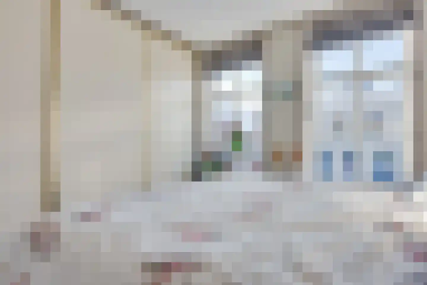 Voorstraat 24 Ooltgensplaat thumbnail 30