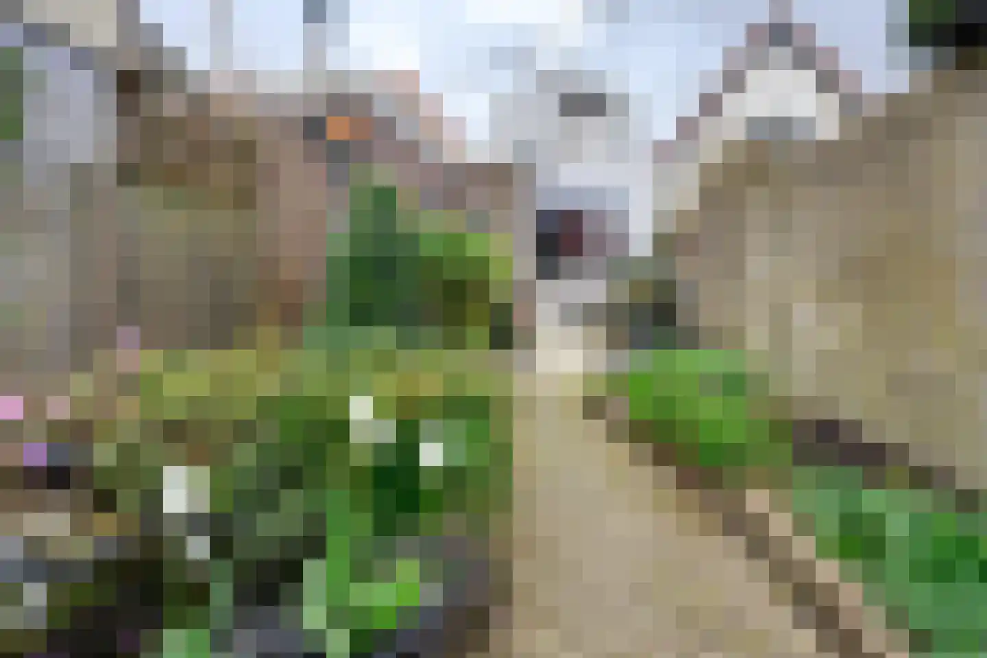 Voorstraat 24 Ooltgensplaat thumbnail 48
