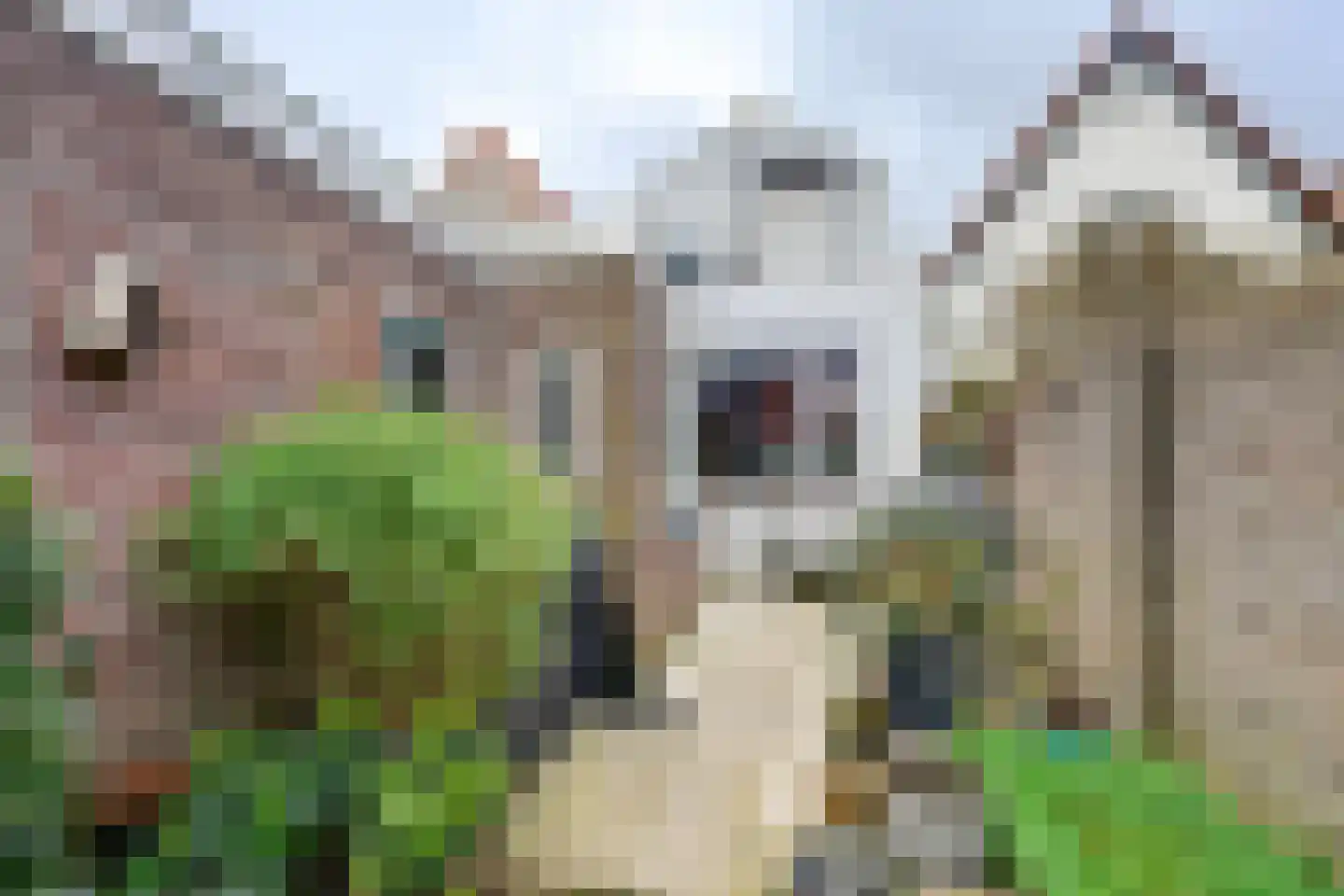 Voorstraat 24 Ooltgensplaat thumbnail 49