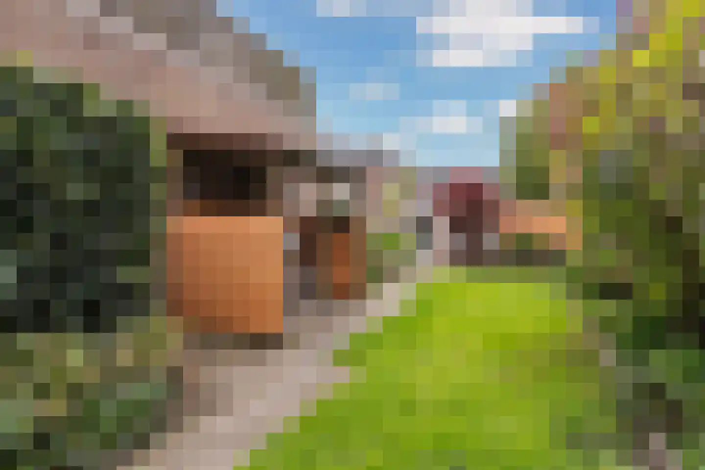 Voorstraat 25 a Vianen thumbnail 33
