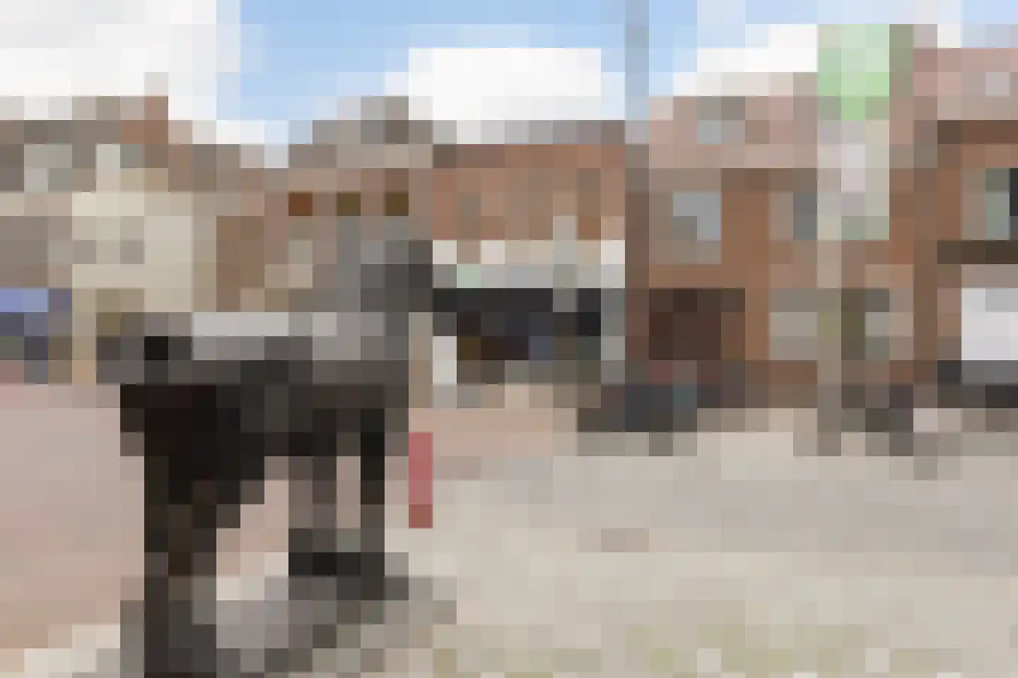 Voorstraat 25 a Vianen thumbnail 37