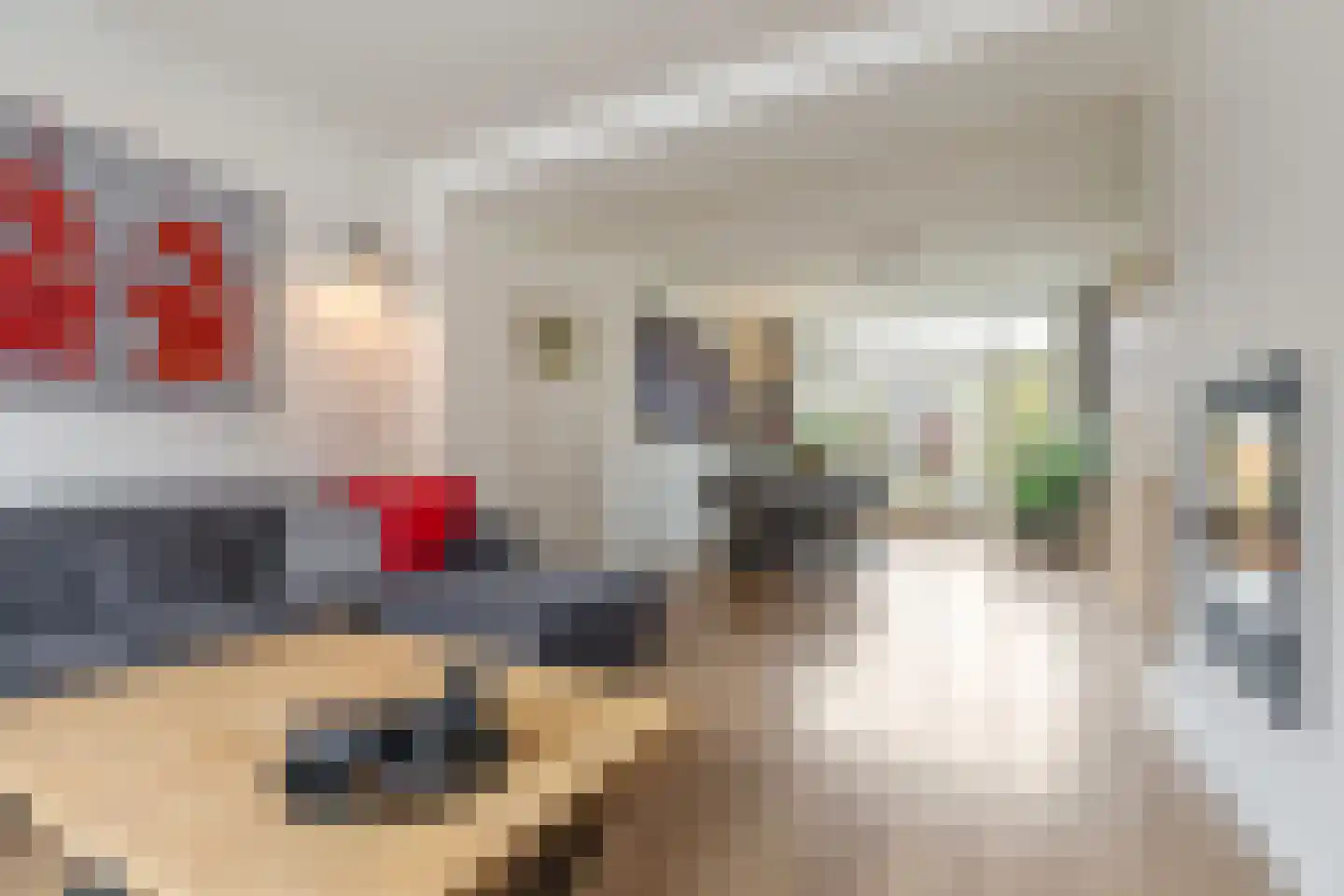 Voorstraat 25 a Vianen thumbnail 8