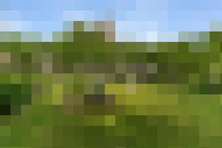 Voorstraat 25 Blije thumbnail 22