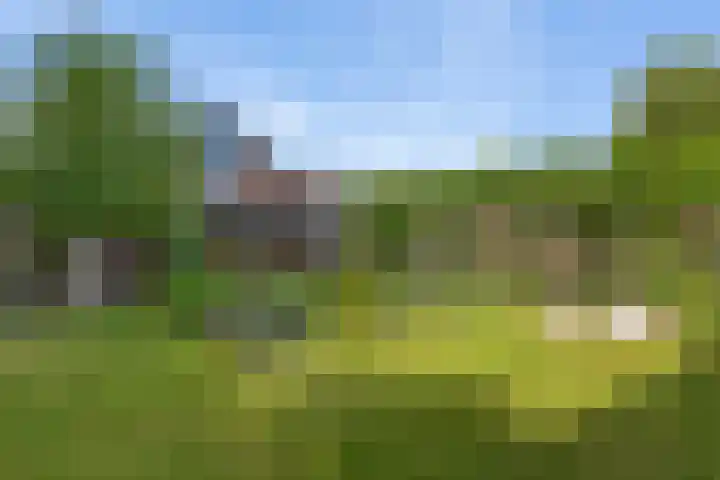 Voorstraat 25 Blije thumbnail 23