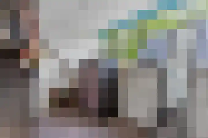 Voorstraat 25 Blije thumbnail 38