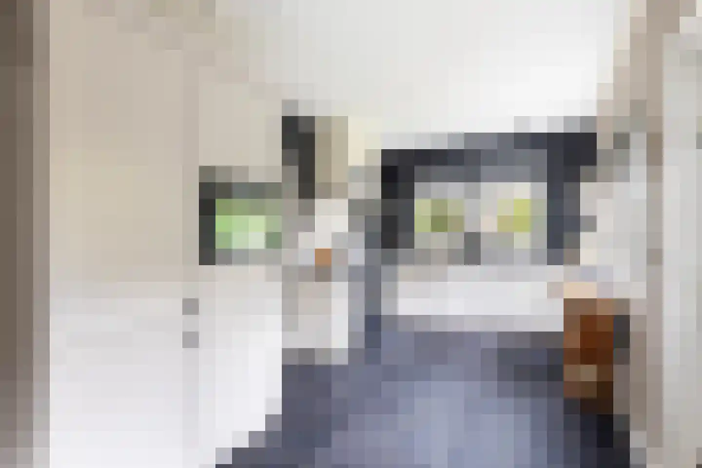 Voorstraat 27 Nieuw-Beijerland thumbnail 11