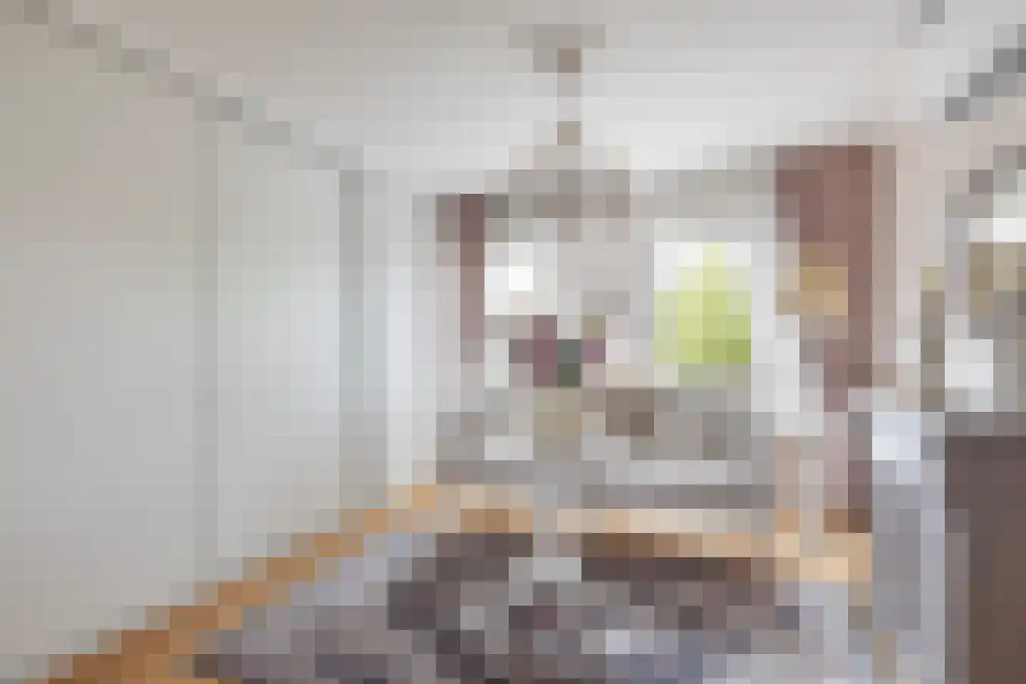 Voorstraat 27 Nieuw-Beijerland thumbnail 26