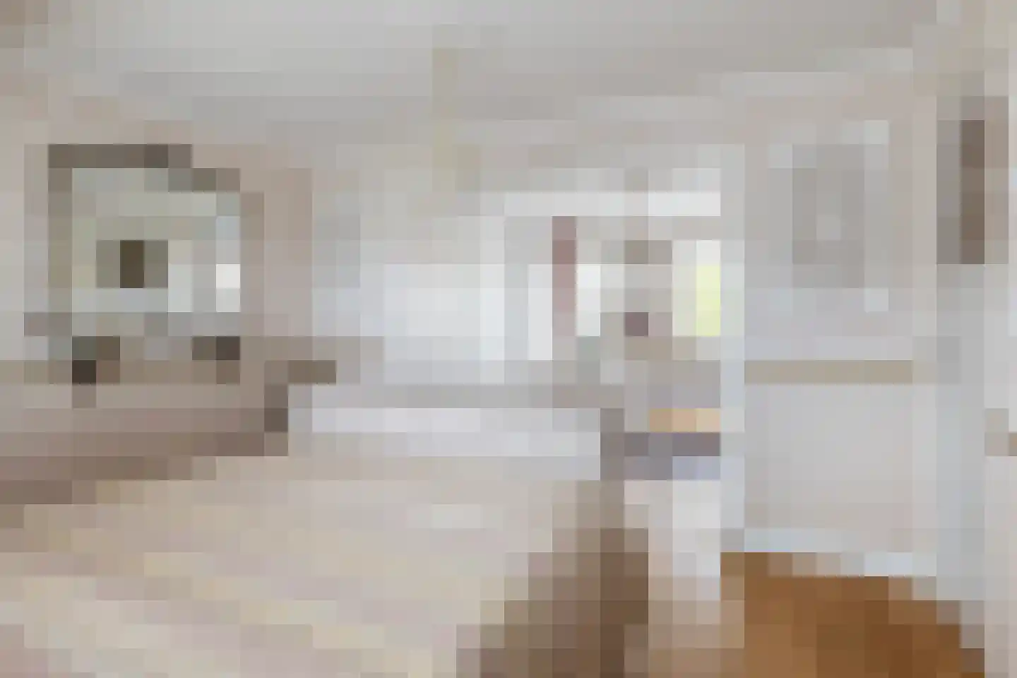 Voorstraat 27 Nieuw-Beijerland thumbnail 28