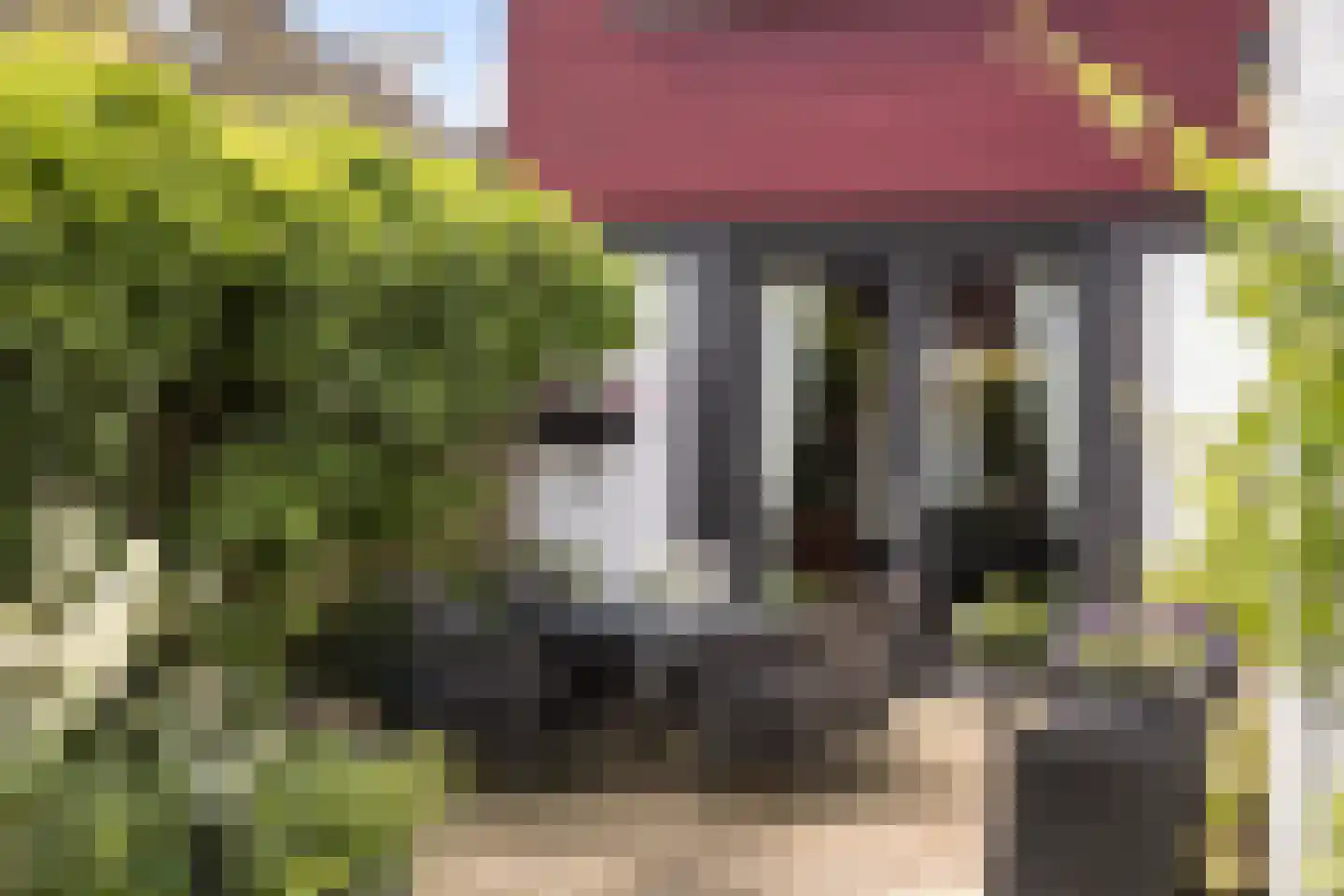 Voorstraat 27 Nieuw-Beijerland thumbnail 35
