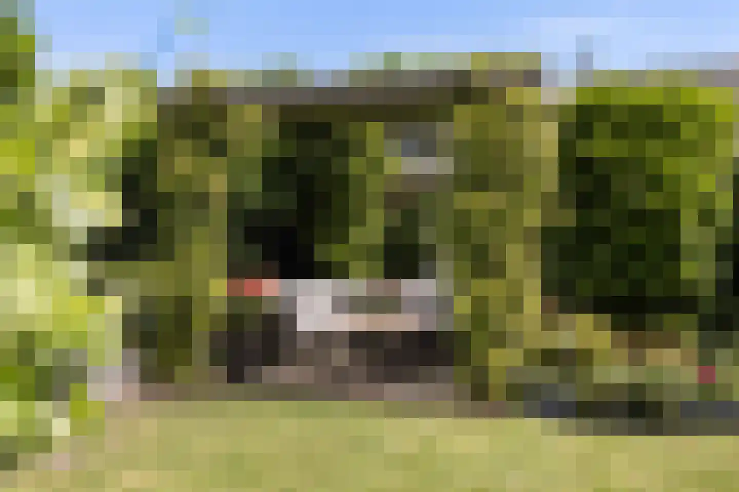Voorstraat 27 Nieuw-Beijerland thumbnail 37