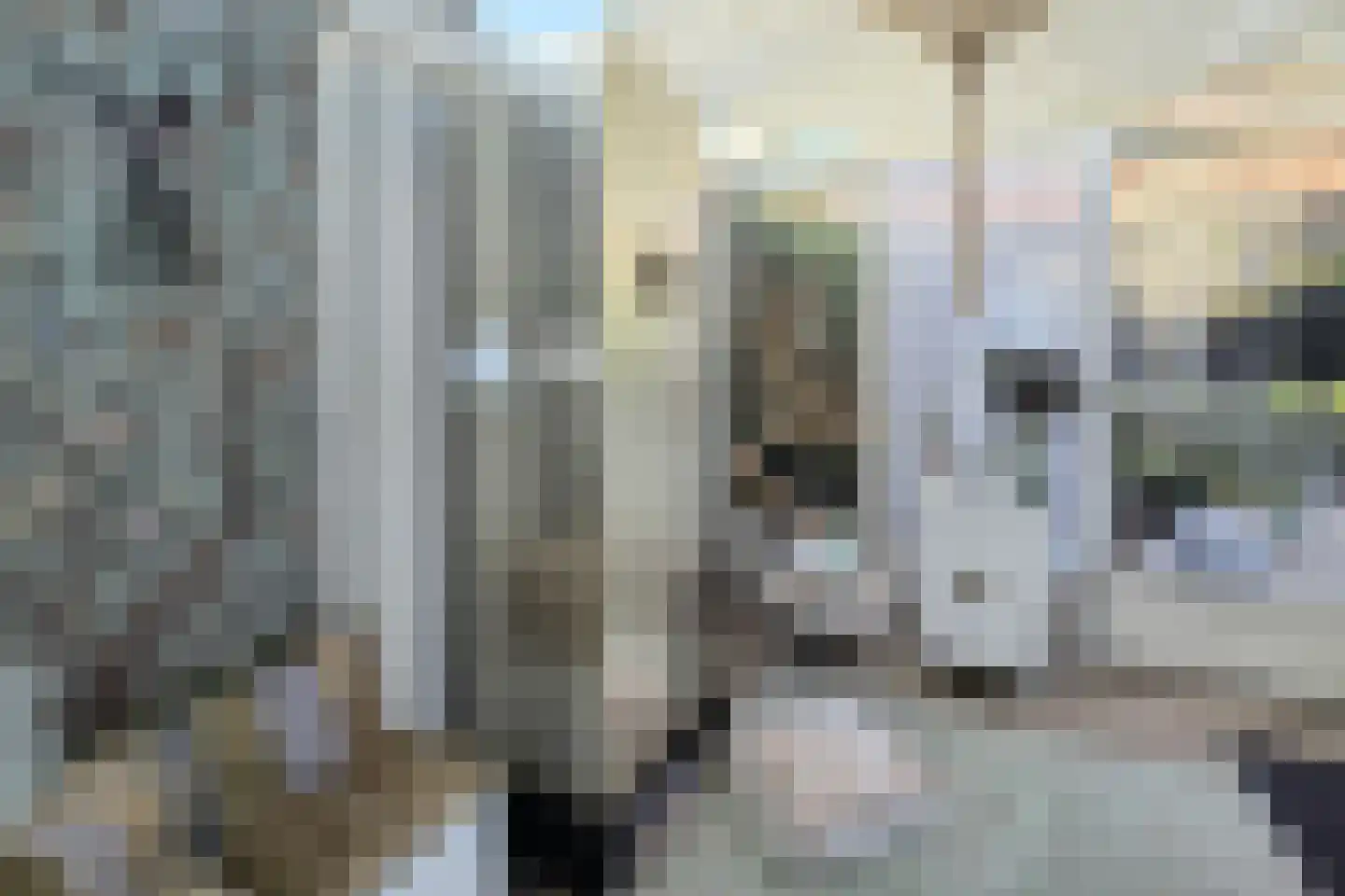 Voorstraat 28 Wissenkerke thumbnail 15