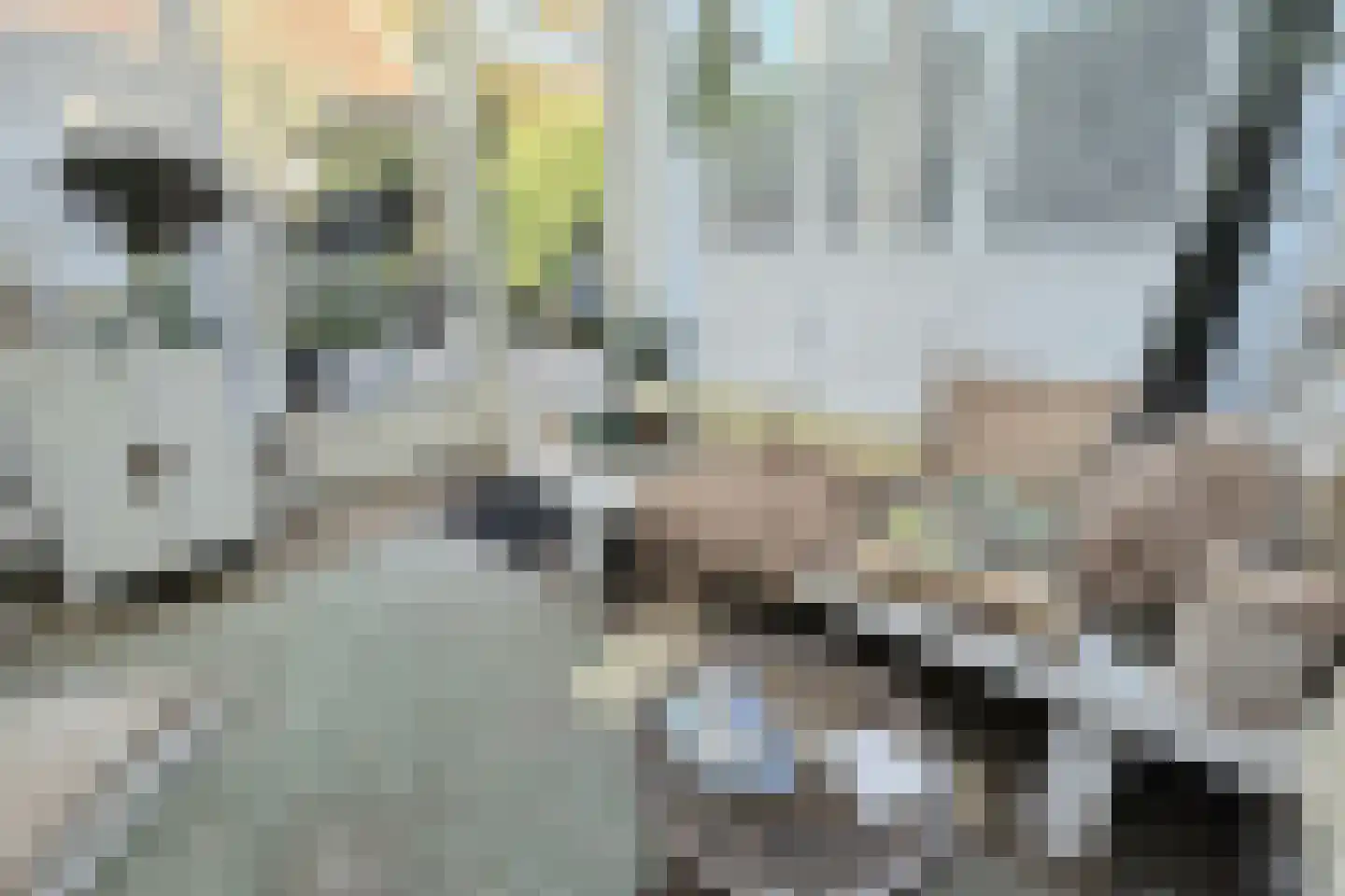Voorstraat 28 Wissenkerke thumbnail 16