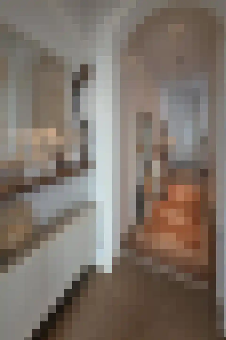 Voorstraat 28 Wissenkerke thumbnail 18