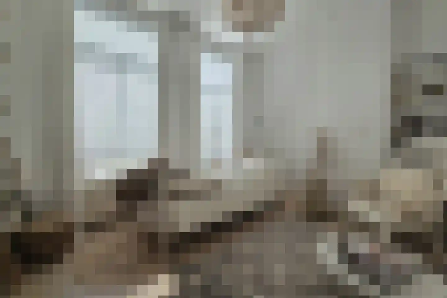 Voorstraat 28 Wissenkerke thumbnail 23