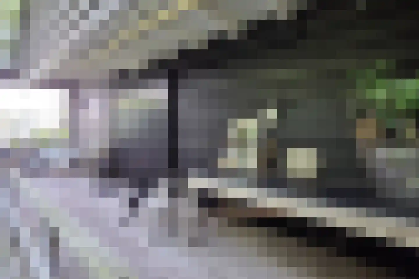 Voorstraat 28 Wissenkerke thumbnail 35