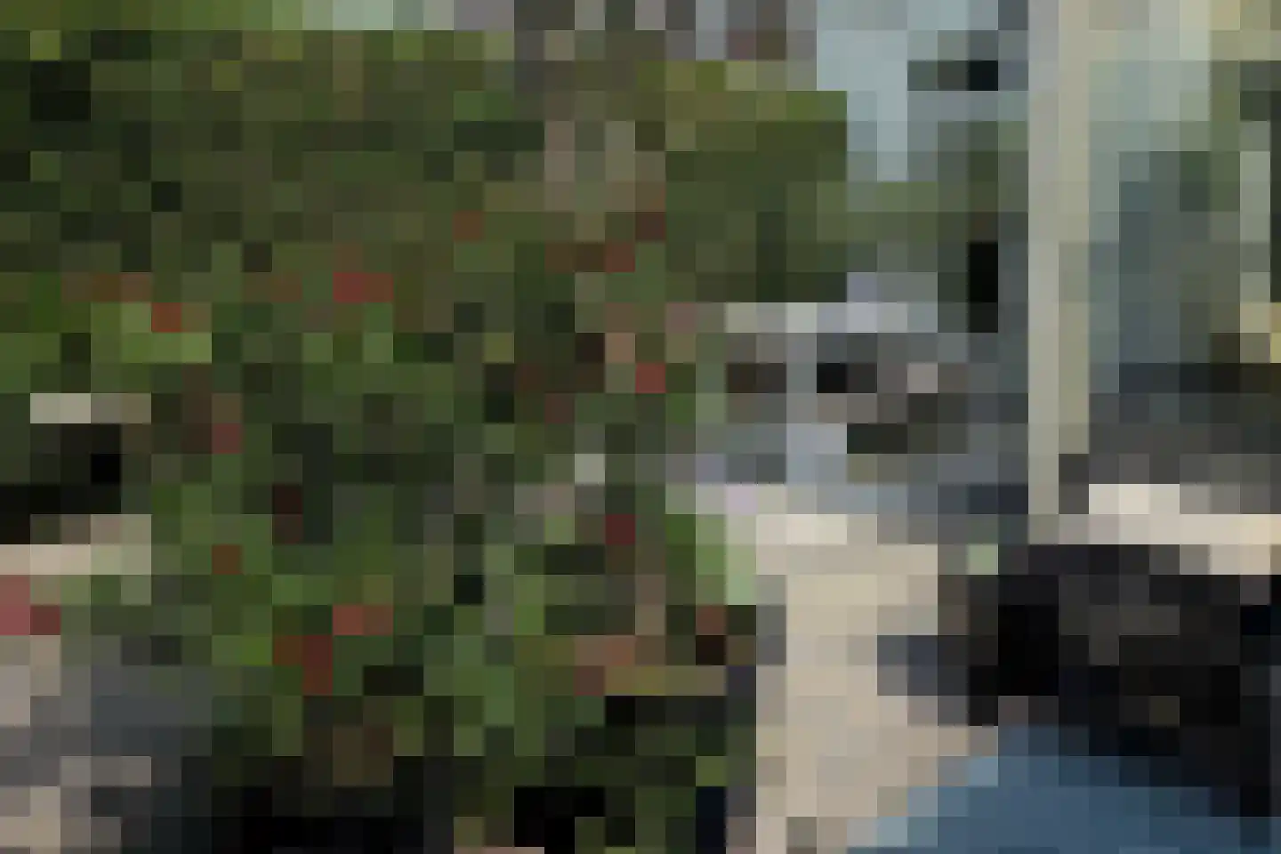Voorstraat 28 Wissenkerke thumbnail 36