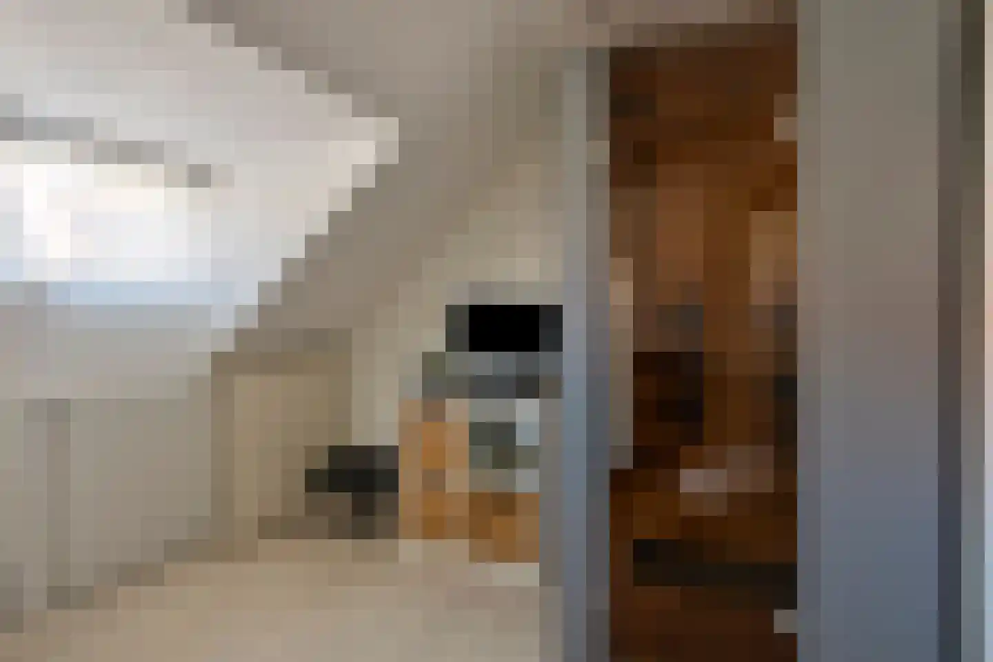 Voorstraat 29 Oosterhout thumbnail 21