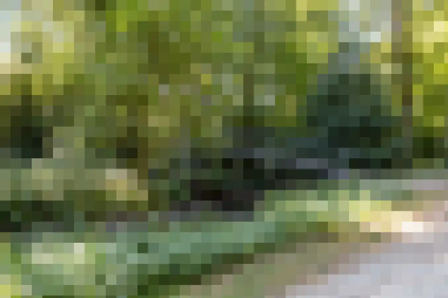 Voorstraat 29 Oosterhout thumbnail 36