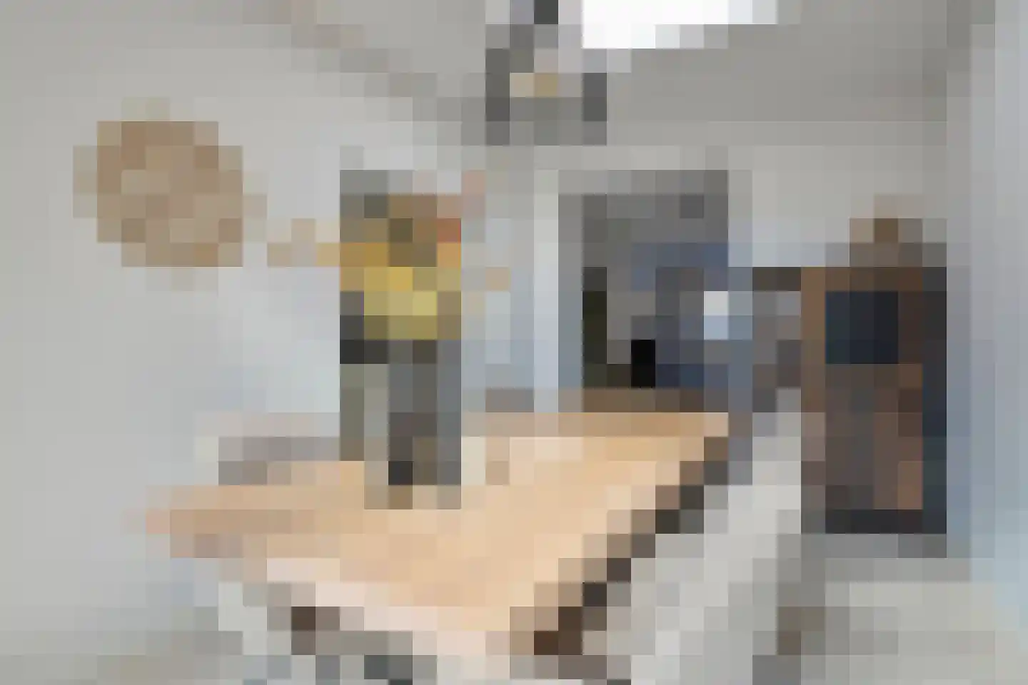 Voorstraat 29 Oosterhout thumbnail 8