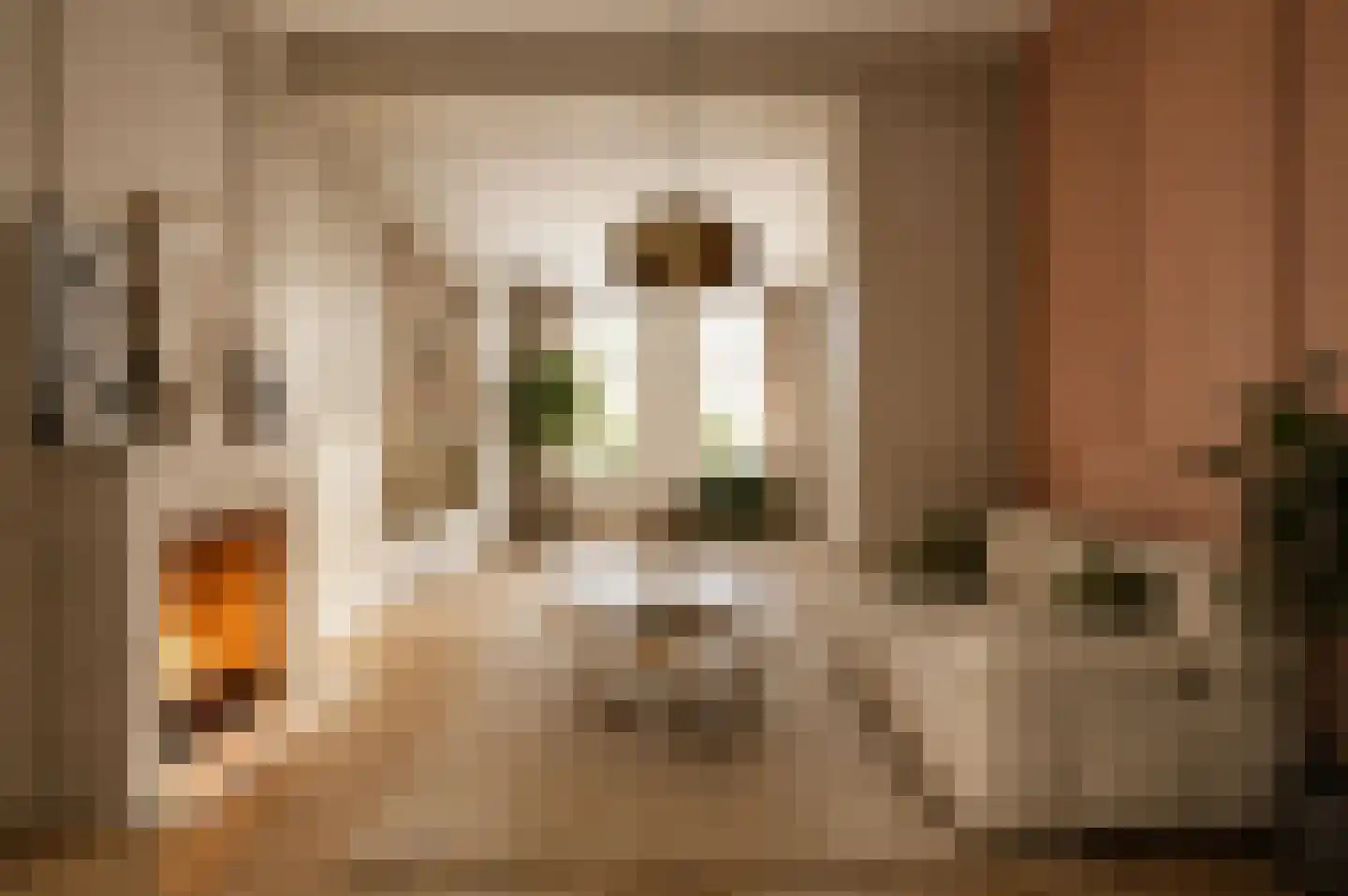 Voorstraat 29 Piershil thumbnail 4