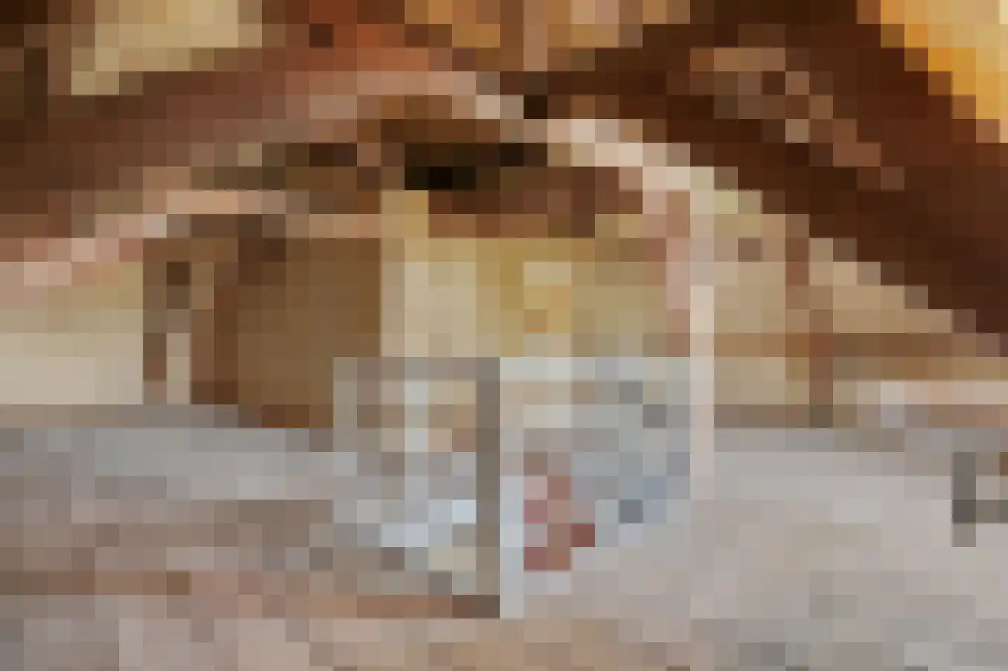 Voorstraat 29 Piershil thumbnail 44