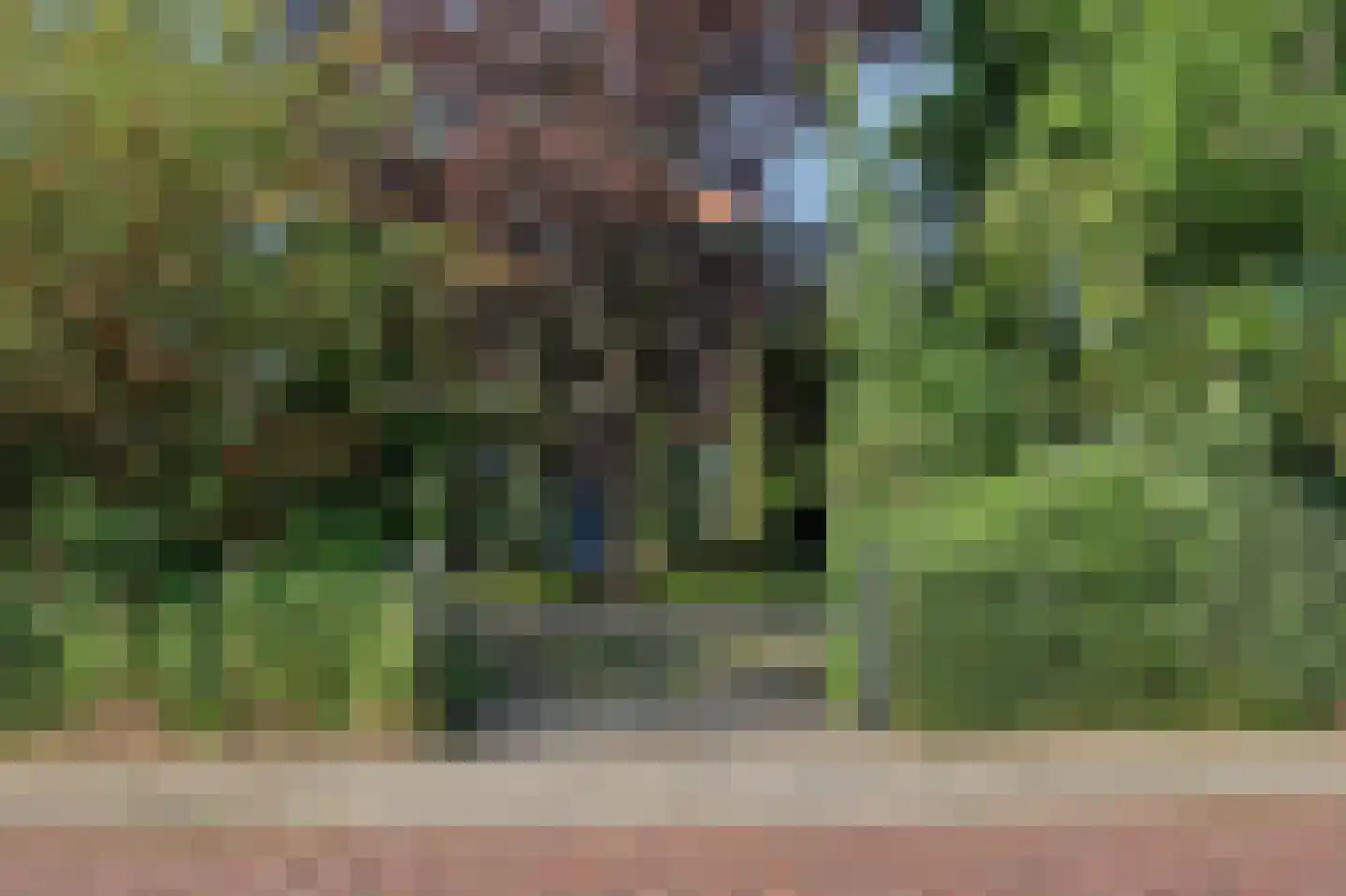 Voorstraat 29 Piershil thumbnail 5