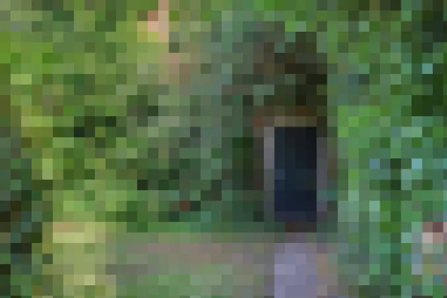 Voorstraat 29 Piershil thumbnail 61