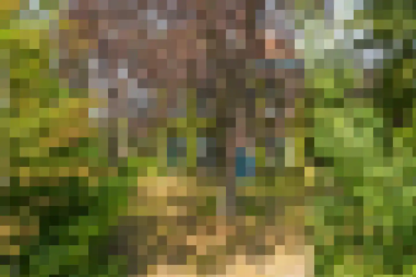 Voorstraat 29 Piershil thumbnail 67
