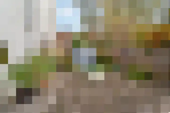 Voorstraat 29 Vlaardingen thumbnail 13