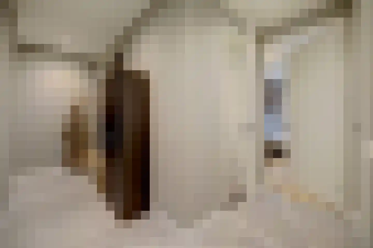 Voorstraat 3 a Den Bommel thumbnail 15