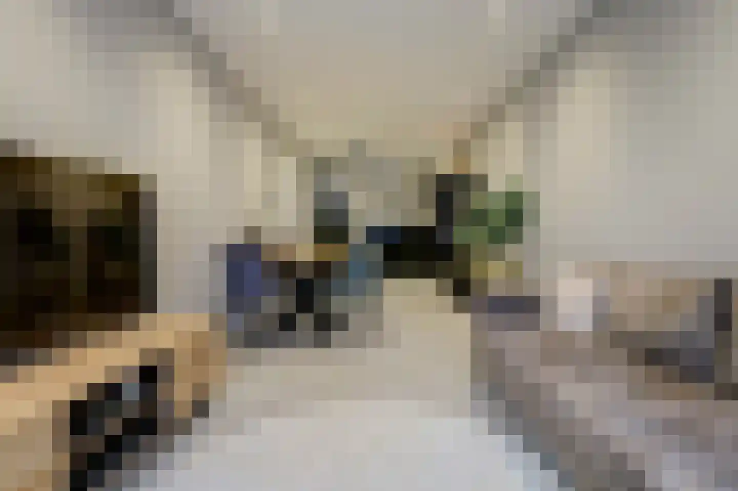 Voorstraat 3 a Den Bommel thumbnail 9