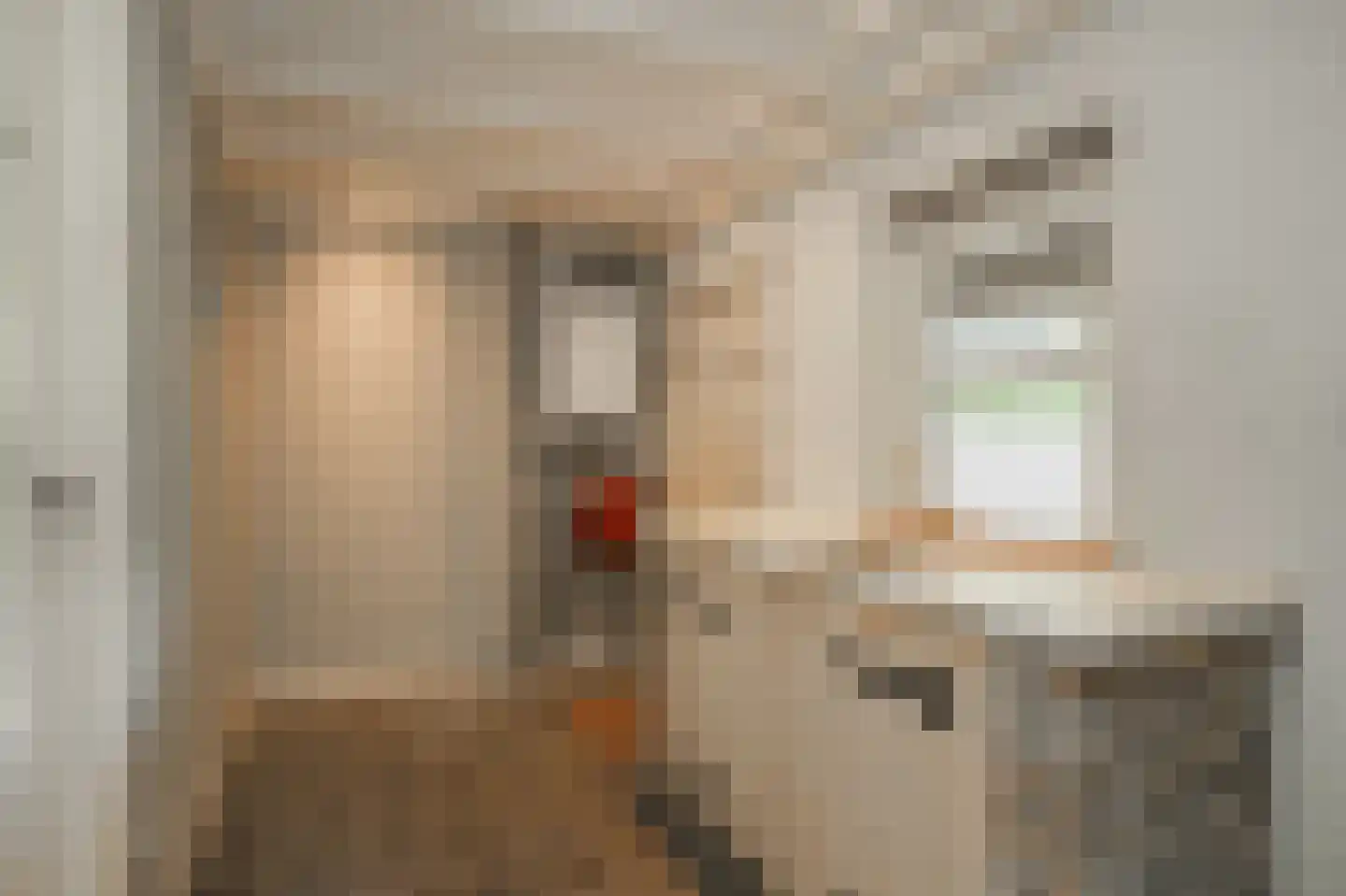 Voorstraat 3 Groot-Ammers thumbnail 27
