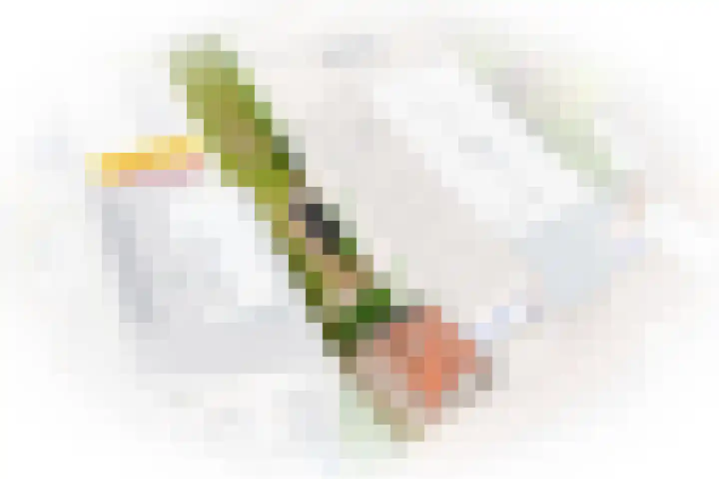 Voorstraat 3 Groot-Ammers thumbnail 29