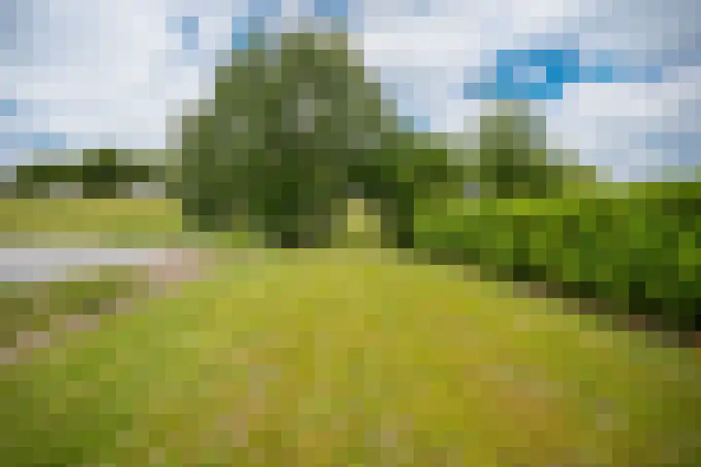 Voorstraat 3 Groot-Ammers thumbnail 35